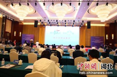 河北南宫:承办全国绒毛大会提升产业新质生产力